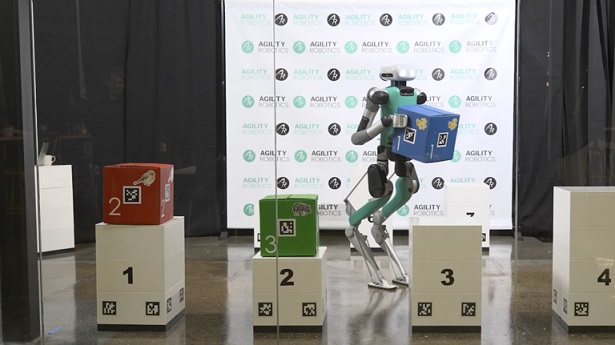 Kutuları İstiflemek mi? Kanser Tedavisi mi? Yapay Zekanın Önce Fiziği Öğrenmesi Gerekiyor