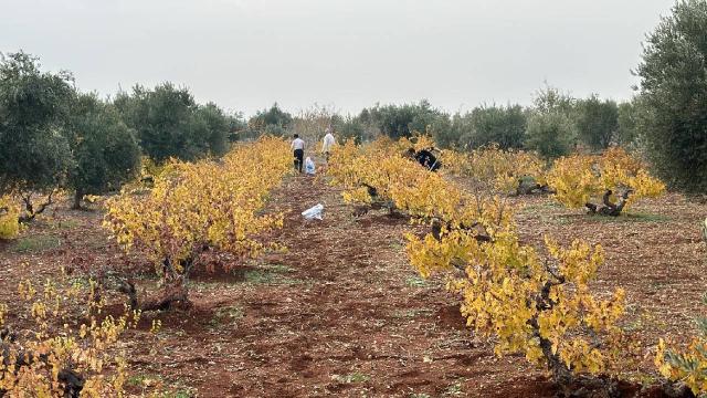 Adıyaman Üniversitesi’nin tarımsal projesi desteğe değer görüldü