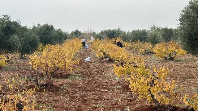 Adıyaman Üniversitesi’nin tarımsal projesi desteğe değer görüldü