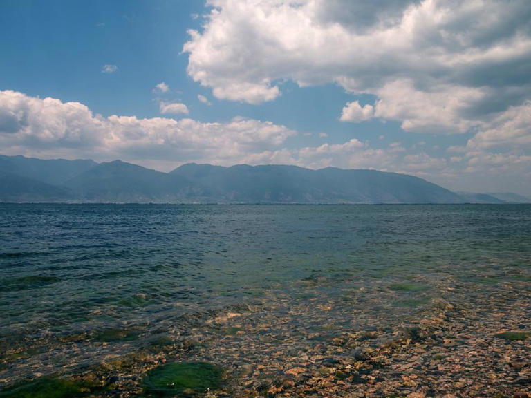 Bilim adamları deniz suyundan uranyumu tuzdan arındırmanın ve çıkarmanın yeni bir yolunu buluyor