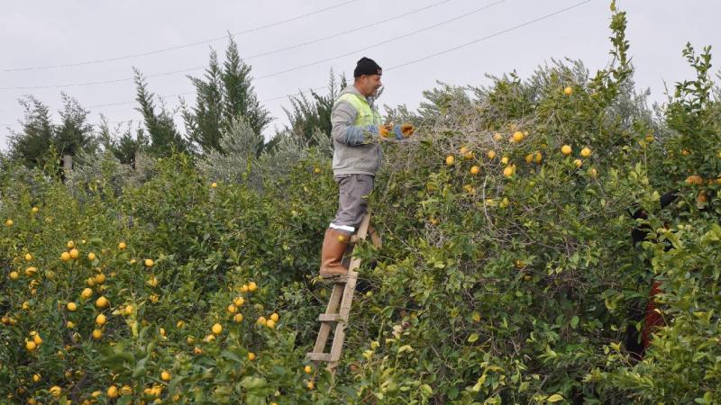 Mersin’de “Üretici ve Tüketici El Ele Kampanyası” başlatıldı