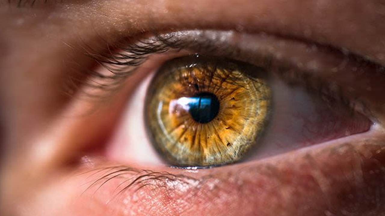 Ela Göz Rengi Hakkında 8 Bilimsel Gerçek: Ağrı Eşikleri Bile Farklıymış