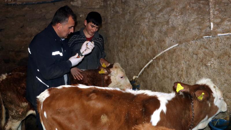 Hayvanlara uygulanan tanımlama araçları ve programlı aşı bedellerinde düzenleme