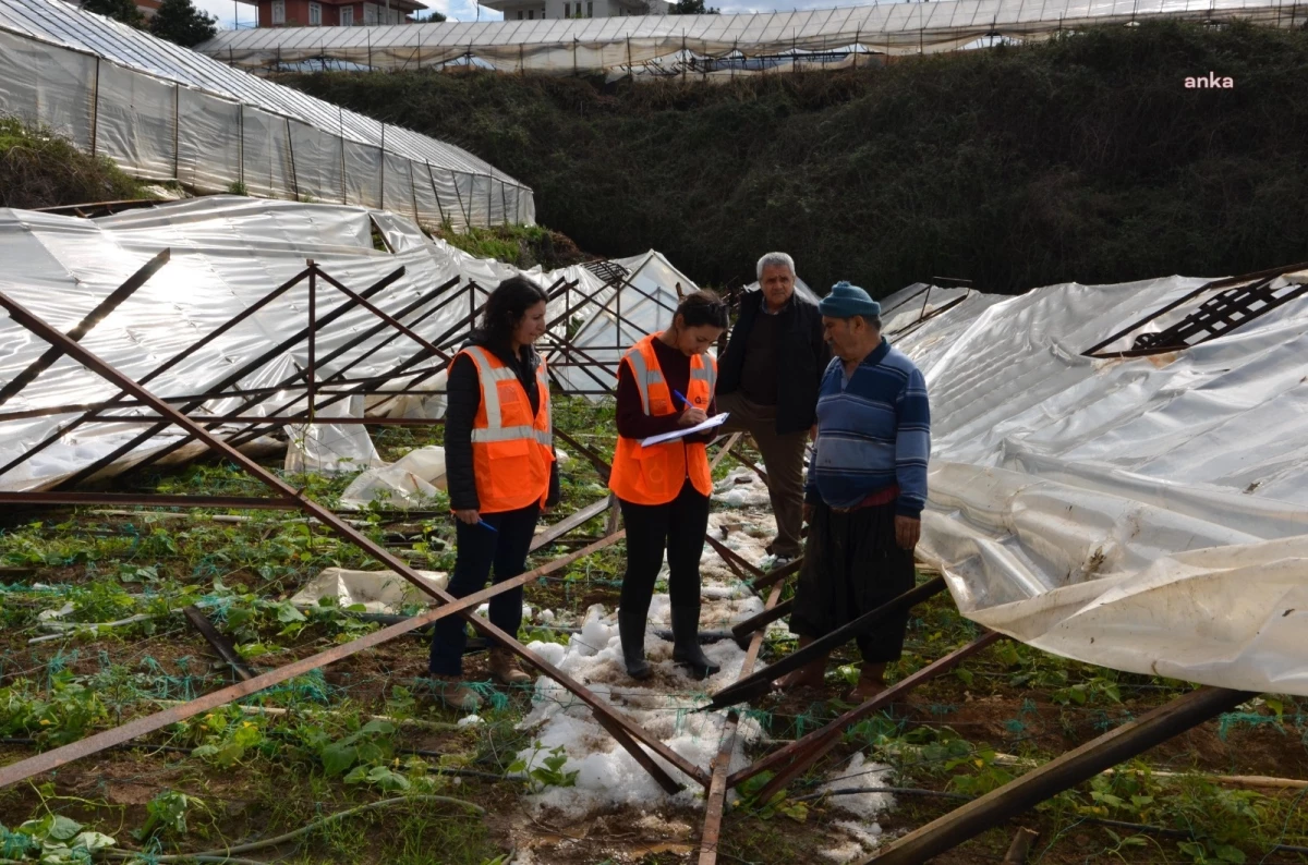 Antalya Büyükşehir Belediyesi, sel mağdurlarına veterinerlik hizmeti ve sera naylonu desteği sağlıyor