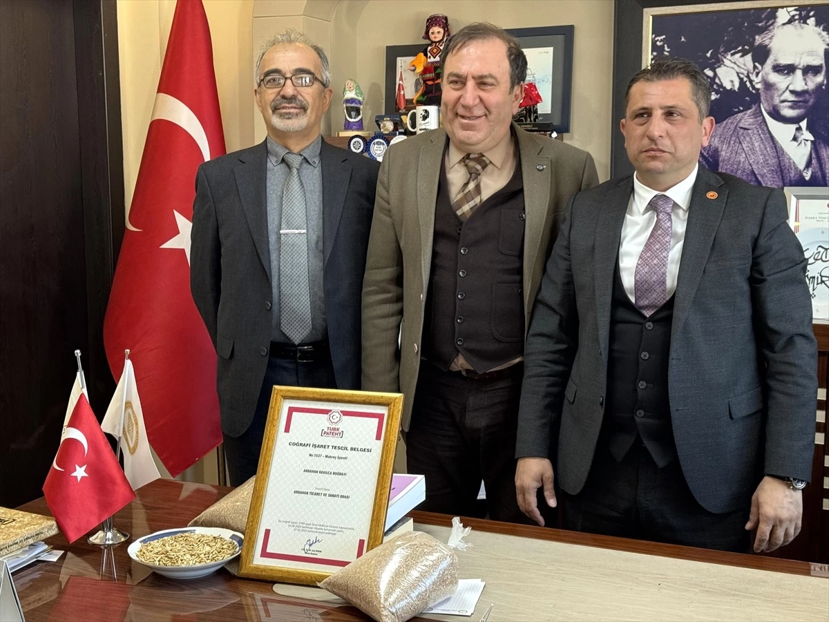 Ardahan’ın ata buğdayı kavılca, Türk Patent ve Marka Kurumundan coğrafi işaret tescili aldı
