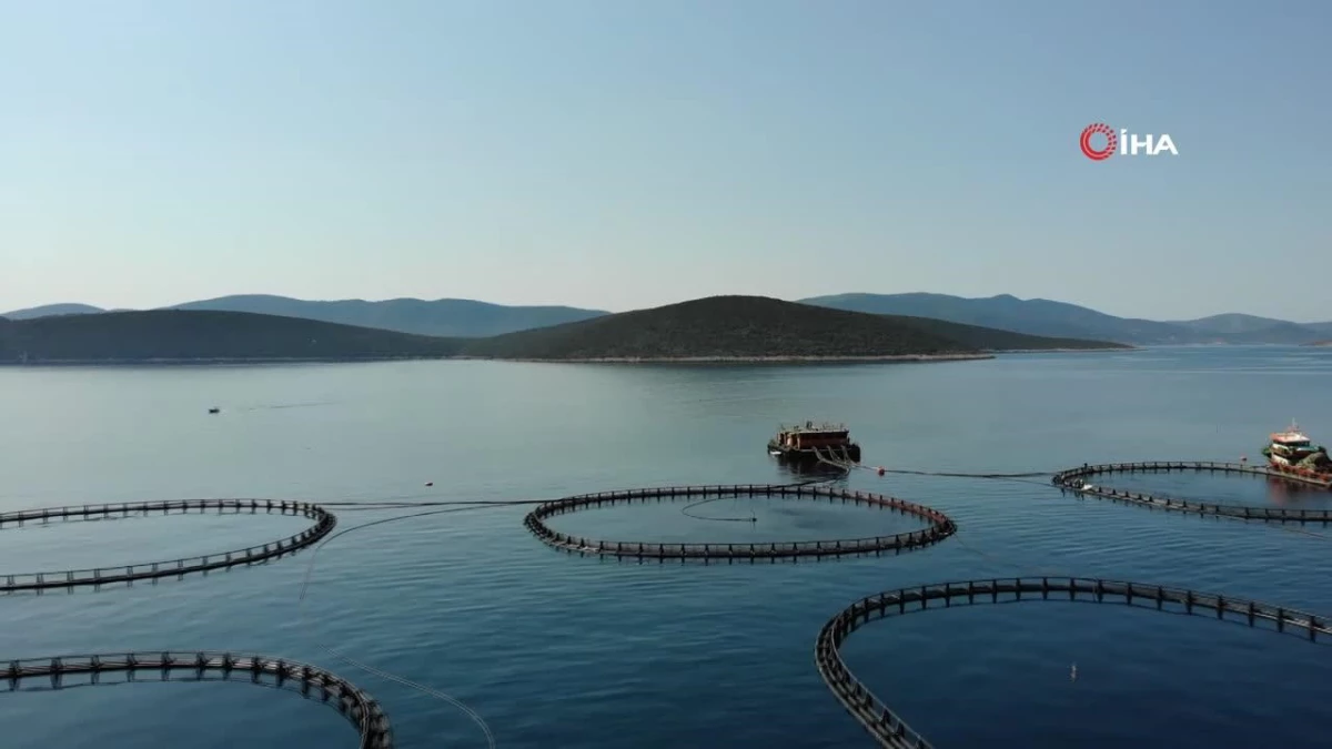 Muğla’da ‘Su Merkezli Tarımsal Üretim Planlama’ Toplantısı
