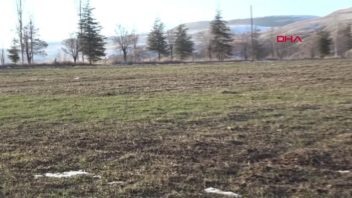 Sivas’ta Kar Yağışı Olmaması Tarımı Olumsuz Etkiliyor