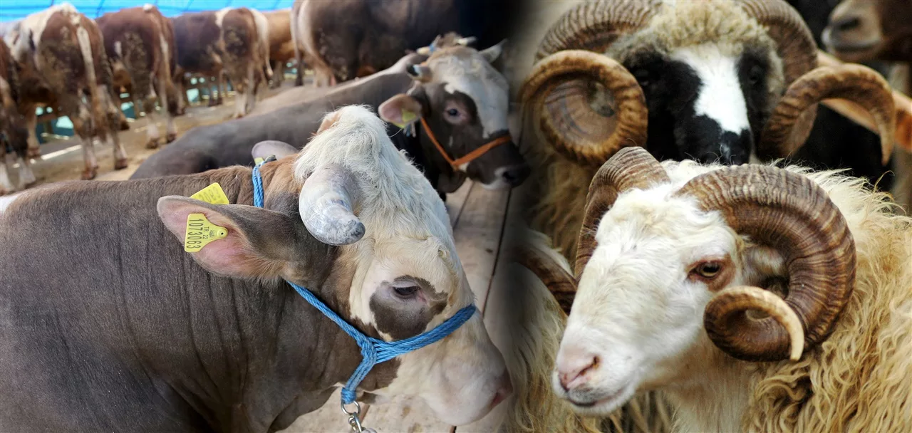 Tarım ve Orman Bakanlığı, iklim değişikliği ve hastalıklara karşı önlemler alıyor