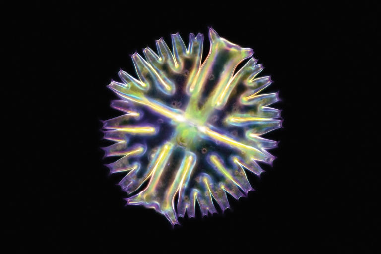 Dünyadaki yaşam nasıl başladı? Kimyasal bulmaca daha da netleşti.