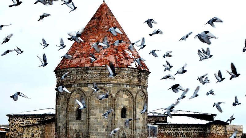 Aç kalan güvercinleri esnaf ve vatandaş besliyor