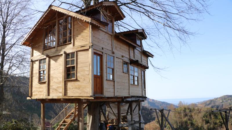 150 yıllık ağacın gövdesine ev yaptı