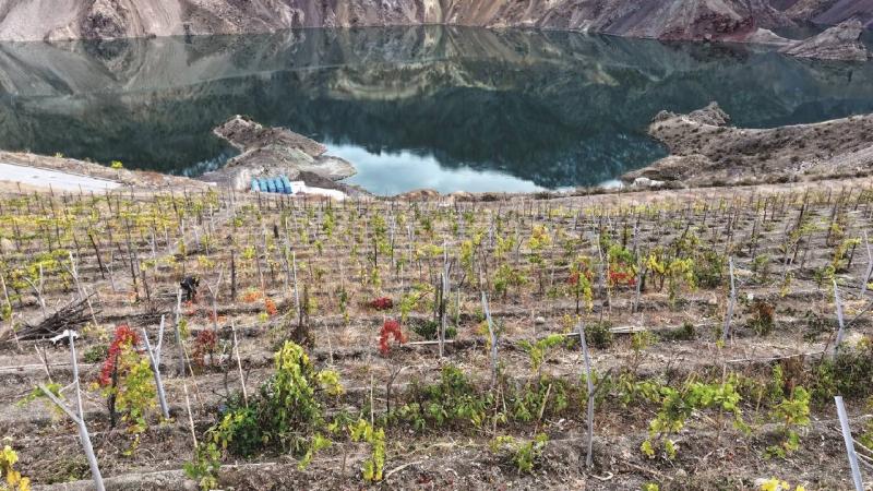 Yeni Yusufeli’nde sosyo ekonomik hayat yeniden inşa ediliyor