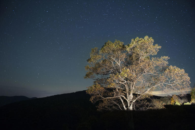 Teleskop gerekmeden çocuklarınıza gece gökyüzünü sevmeyi öğretin
