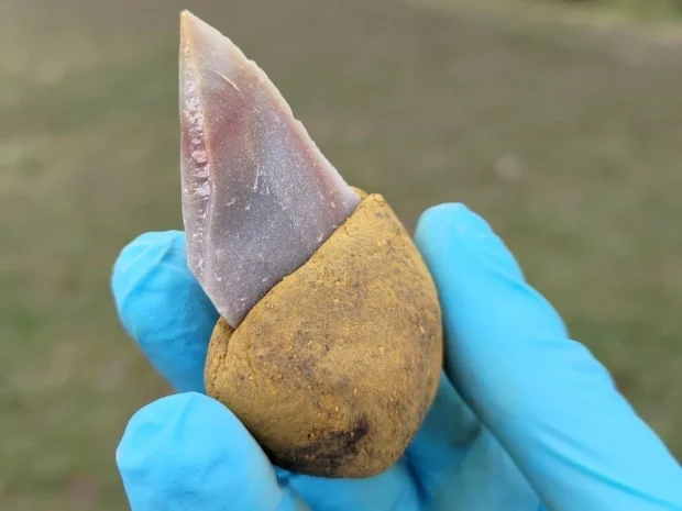 Neandertaller 40.000 yıl önce taş aletler yapmak için yapıştırıcı kullandılar
