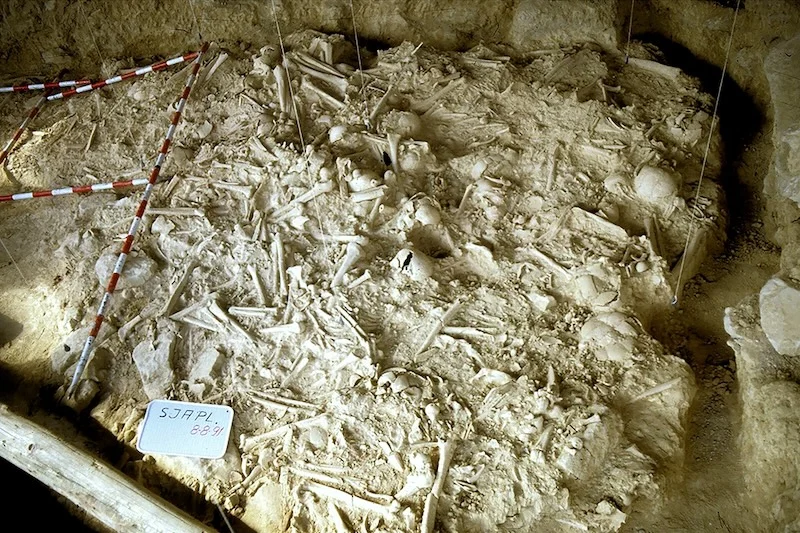 Avrupa’daki Savaşın İlk Kanıtları 5.000 Yıldan Daha Eski