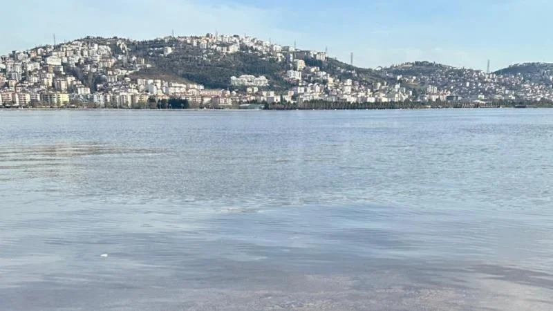 Alg çoğalması İzmit Körfezi’nin rengini değiştirdi