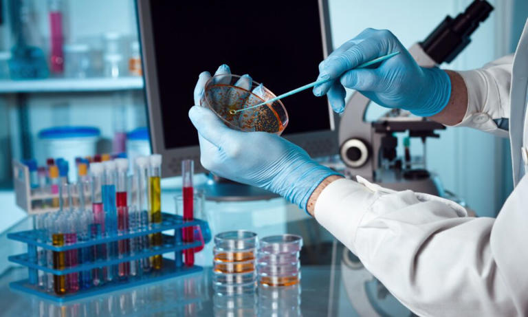 Bakterilerin sınıflandırılmasına yönelik yeni yöntem tüm suşları içeriyor