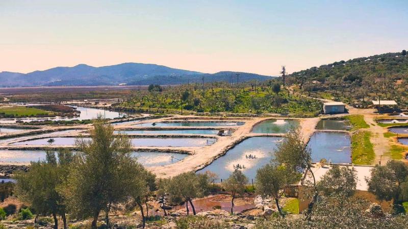 Toprak havuz balık yetiştiriciliğine GEKA’dan destek