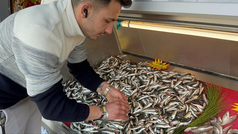 Düzce’de balıkçılık sezonu kötü geçiyor