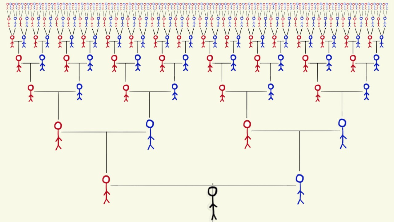 Dünyanın Öteki Ucunda Yaşayan Rastgele Biriyle Akraba Olma İhtimalimiz Nedir?