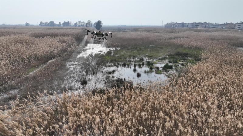 Balıkesir’de dronlu ilaçlama yapılıyor