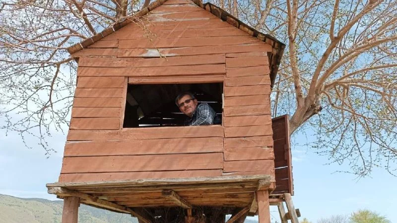 Üzüm bağındaki ağaç kondu ev ilgi odağı oldu
