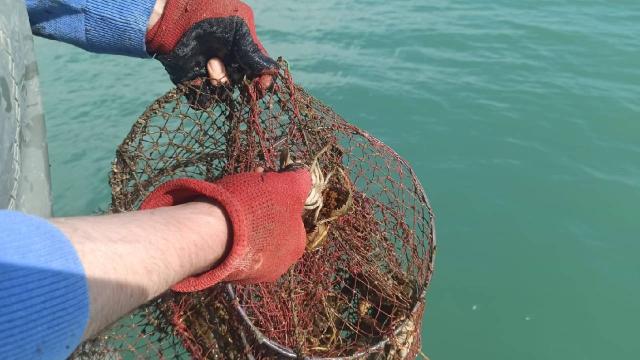 Eğirdir Gölü’nde 200 adet kerevit pinteri ele geçirildi