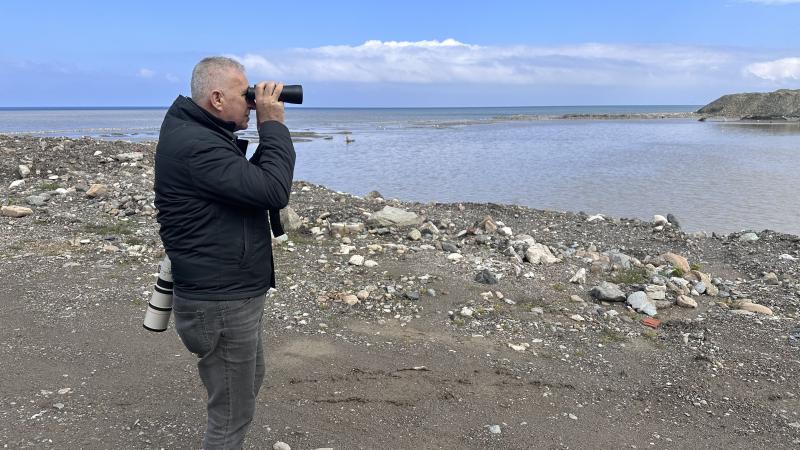 Göç yolculuğundaki telli turnalar Kastamonu’da