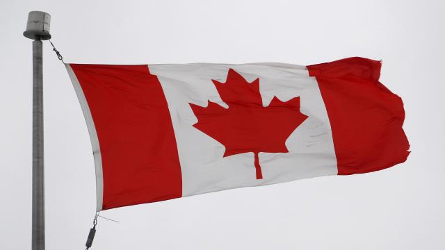 Kanada’da öğrenciler, üniversitelerinin İsrail bağlantılı şirketlerden çekilmesi için açlık grevinde