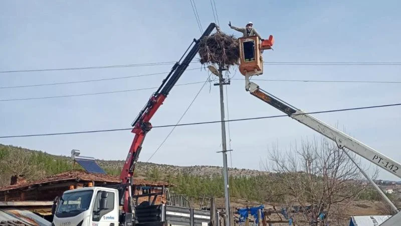 Sinop’ta leylekler için elektrik direklerine yapay yuvalar yerleştirildi