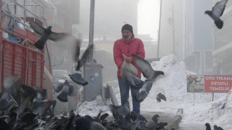 Aç kalan güvercinleri esnaf besliyor