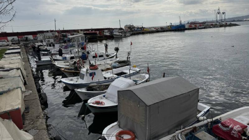 Tekirdağlı balıkçılar istavrit ve karides umuduyla denize açıldı