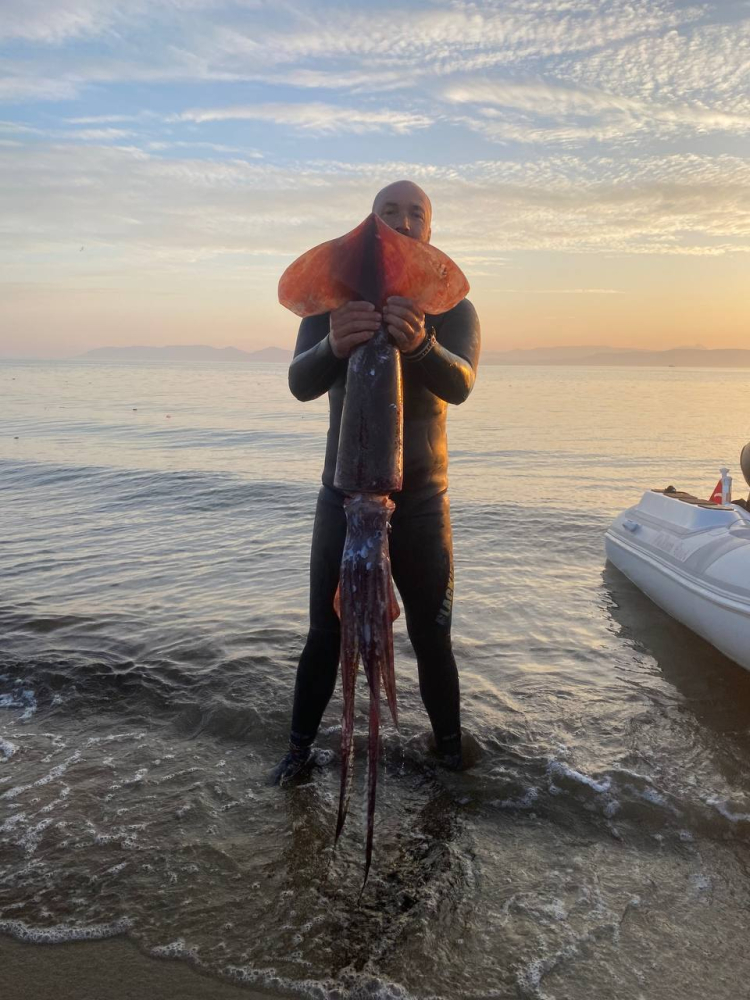 Ayvalıklı avcı zıpkınla dev “uçan kalamar” avladı
