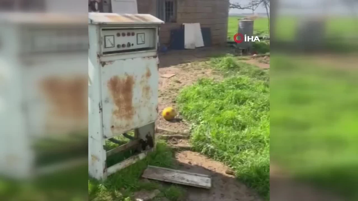 Mardin’de Dünya Su Günü’nde kaçak elektrikle tarla sulandı