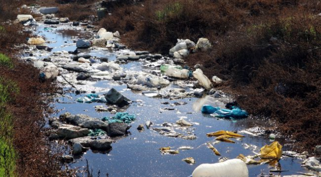 Marmara Denizi’nde 50 yılda 19 balık türü kayboldu