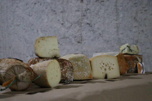 Kayadan oyma depolarda olgunlaştırılan peynirlerin lezzeti yabancıların da dikkatini çekti