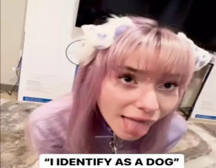 “Benim adım bir kedi gibi Miyav, ama ben bir köpeğim”diyor. Ve öyle yaşıyor.