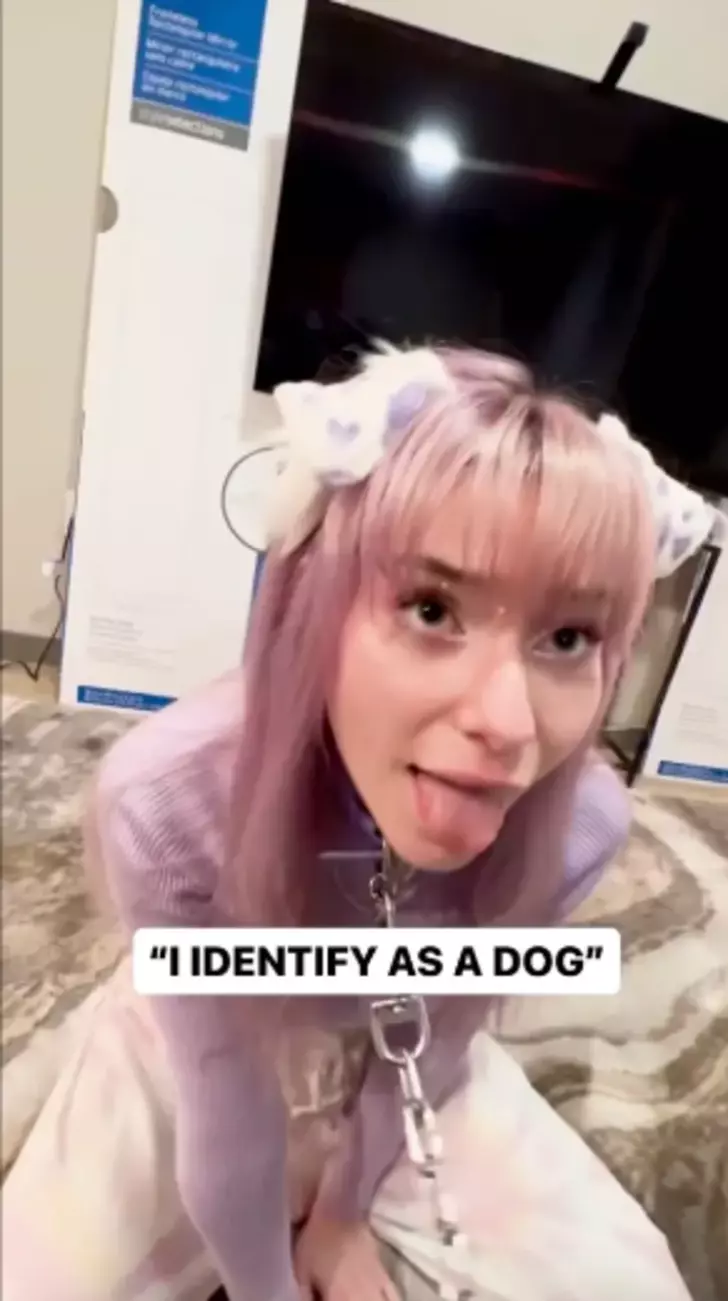 “Benim adım bir kedi gibi Miyav, ama ben bir köpeğim”diyor. Ve öyle yaşıyor.