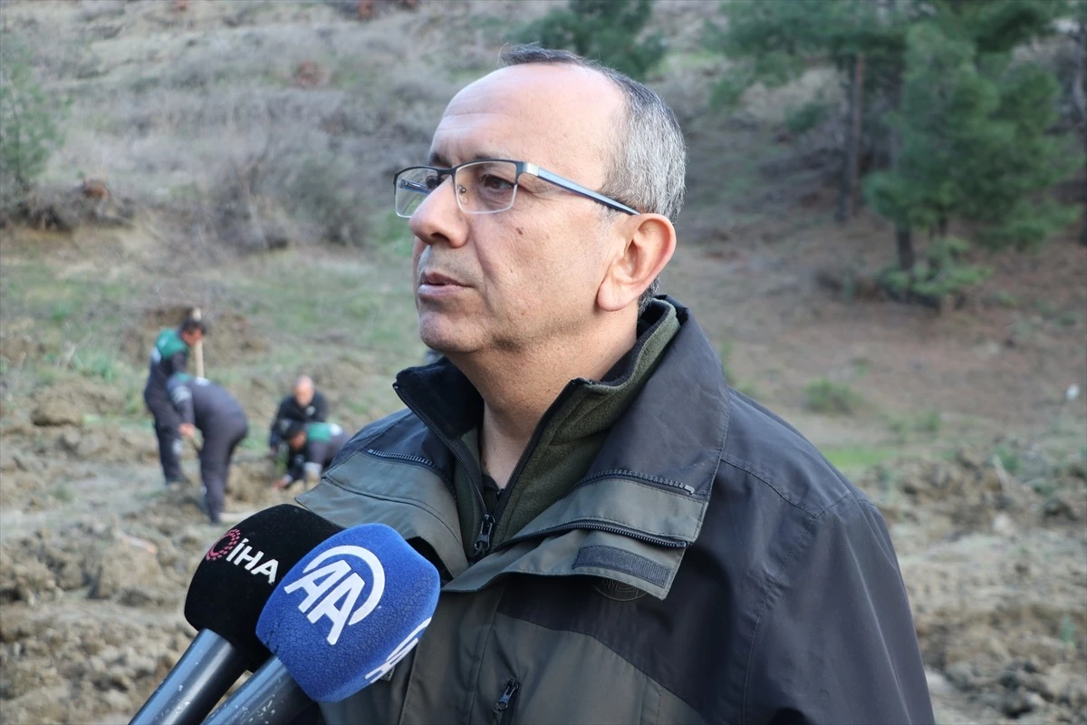 Kahramanmaraş’ta 1 milyon 350 bin fidan toprakla buluşacak