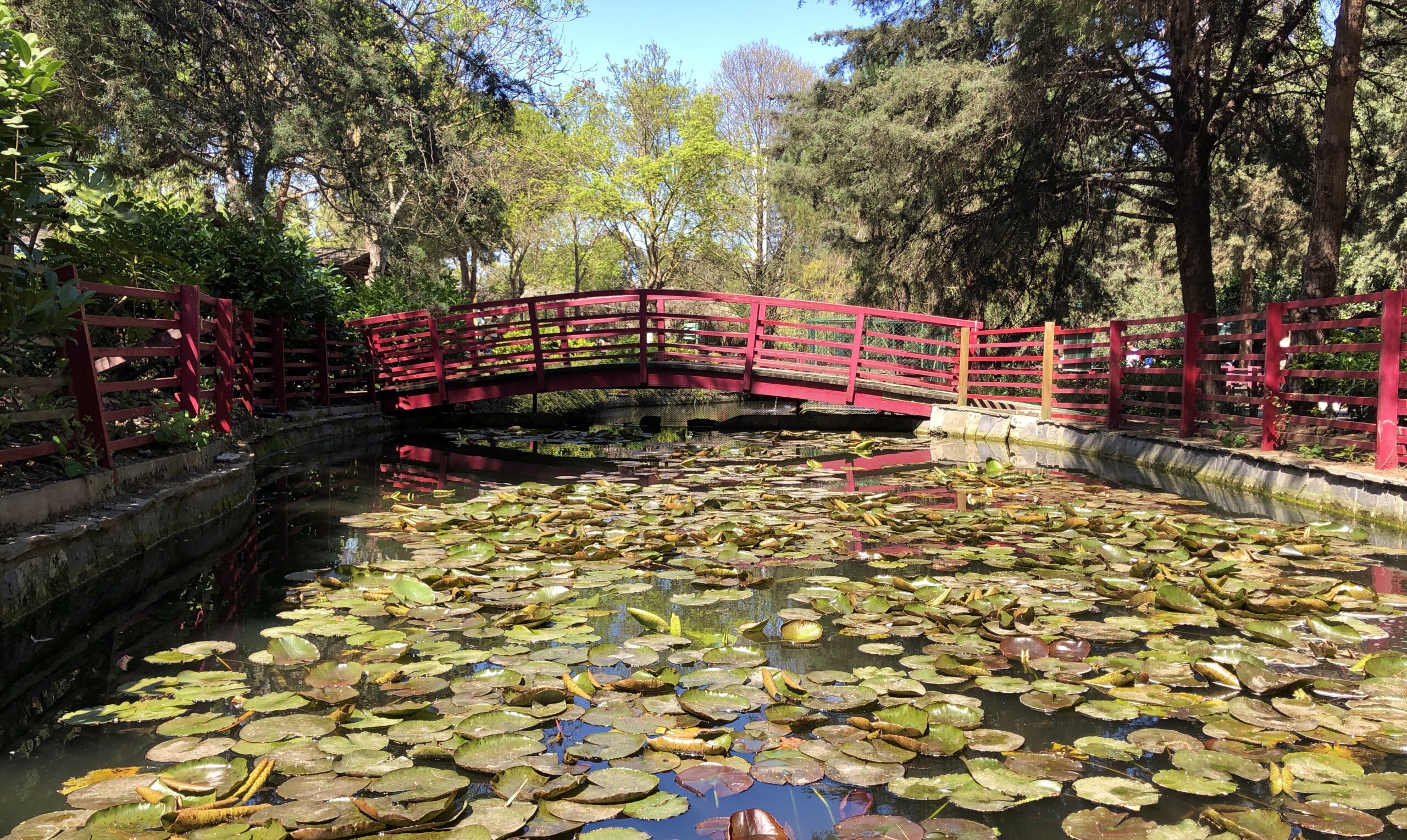 Gökdelenler Arasında Bir Botanik Bahçe