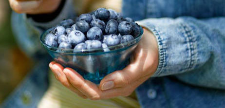 Yaban Mersininin Sağlığa 9 Faydası