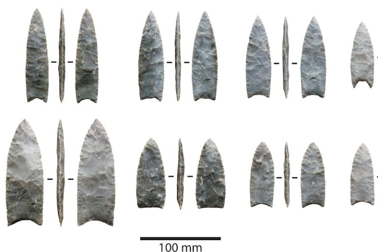 Clovis İnsanları, Clovis Uçlarını Kasaplık için de Kullanmış