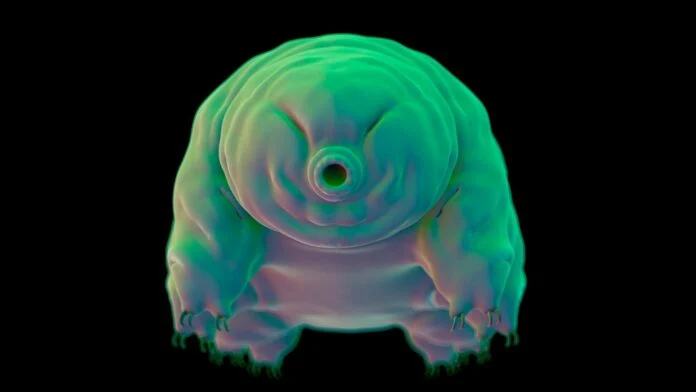 Süper Dirençli Tardigratlar, Radyasyonun Hasar Verdiği DNA’larını Nasıl Onarıyor?