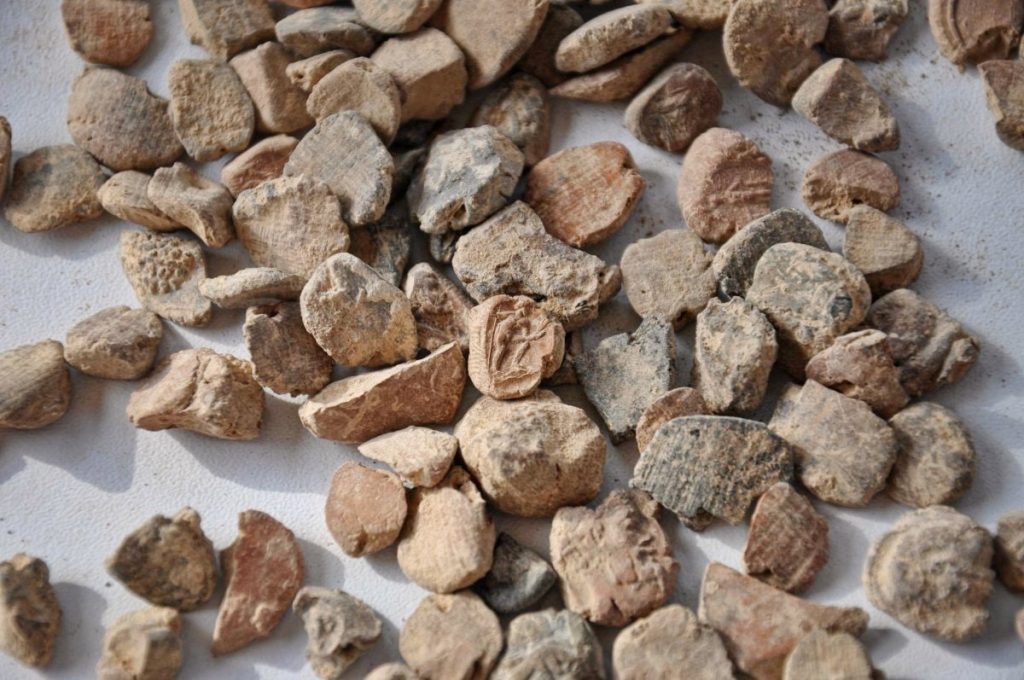 Arkeologlar Doliche Antik Kentinin Roma Arşivini Ortaya Çıkardılar