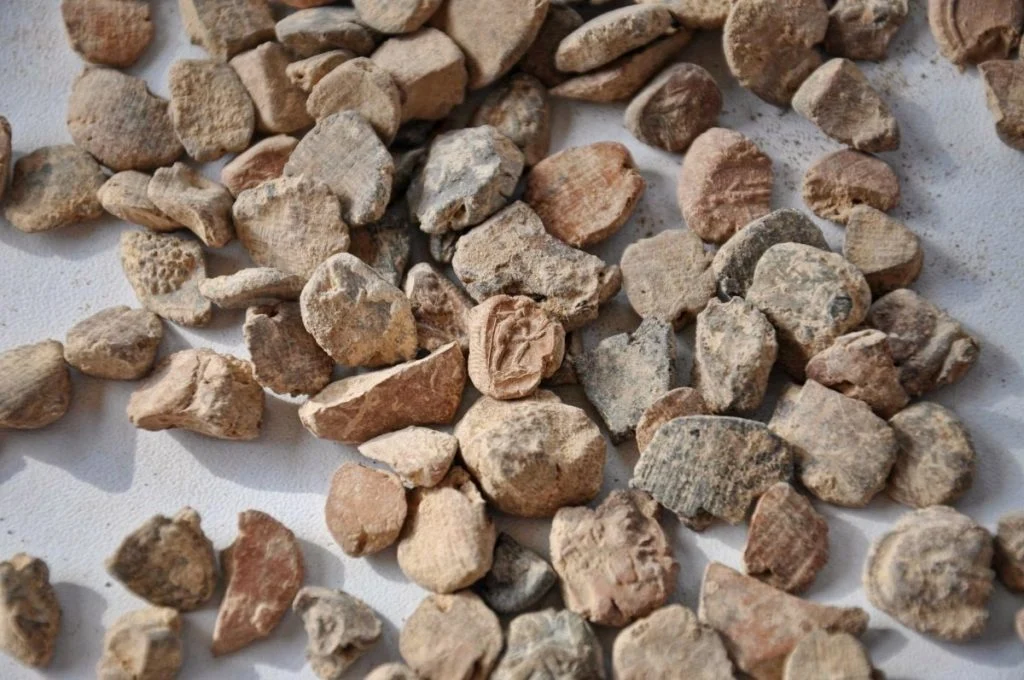 Arkeologlar Doliche Antik Kentinin Roma Arşivini Ortaya Çıkardılar