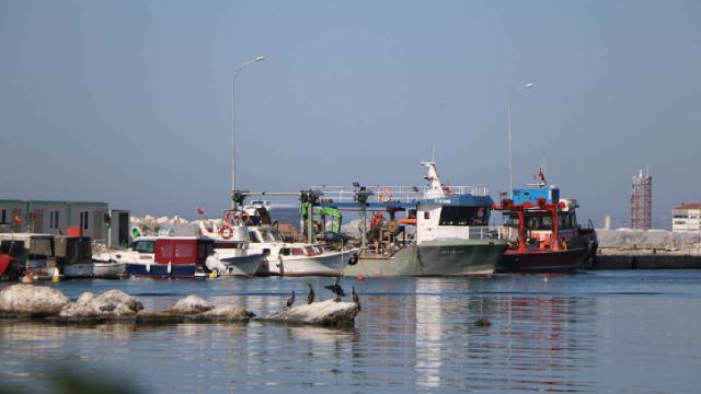 Yalovalı balıkçılar bu yıl da hamsi ile kazanç sağladı