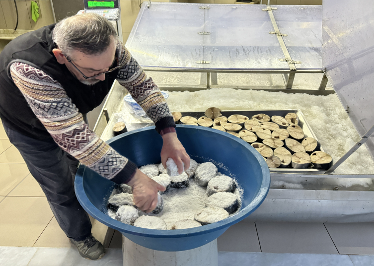 Sinop’ta soğuk hava depolarından çıkarılan toriklerden lakerda yapımına başlandı