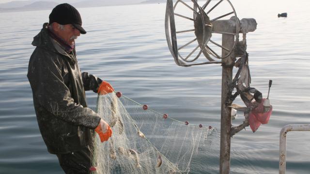 Balıkçılar av yasağı öncesi sezondaki son ağlarını göle bırakıyor