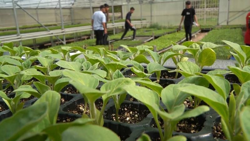 Erzincan’da tarım bölümü öğrencileri hem öğreniyor, hem üretiyor