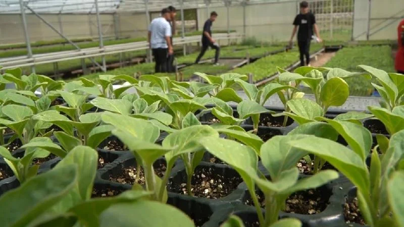 Erzincan’da tarım bölümü öğrencileri hem öğreniyor, hem üretiyor